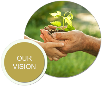vision